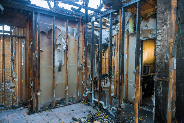 Professional Fire Damage Repair technician working in Apopka, FL