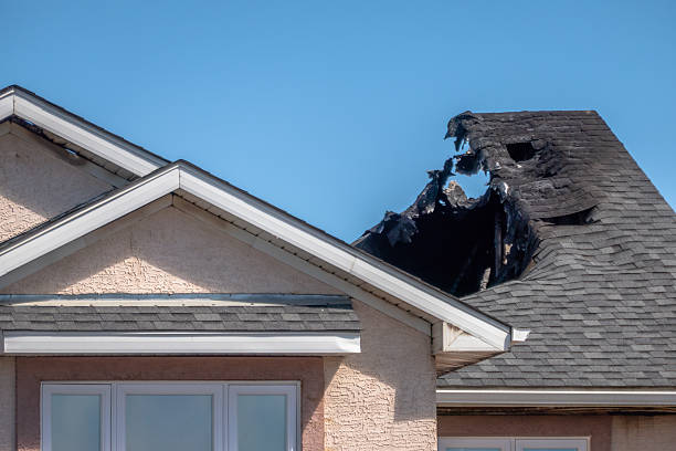 Top rated local Fire Damage Repair specialists in Apopka, FL